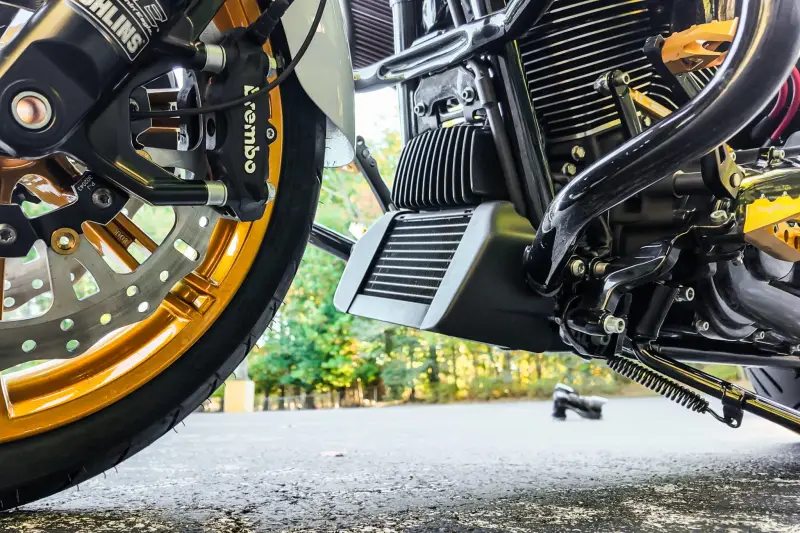 2020 Harley-Davidson Road Glide Limited photo 105